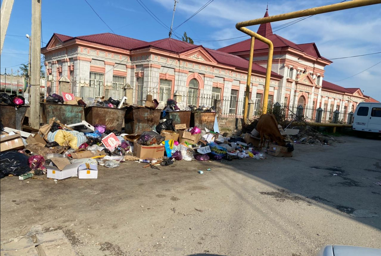 Эконадзор продолжает выявлять нарушения в области обращения с ТКО