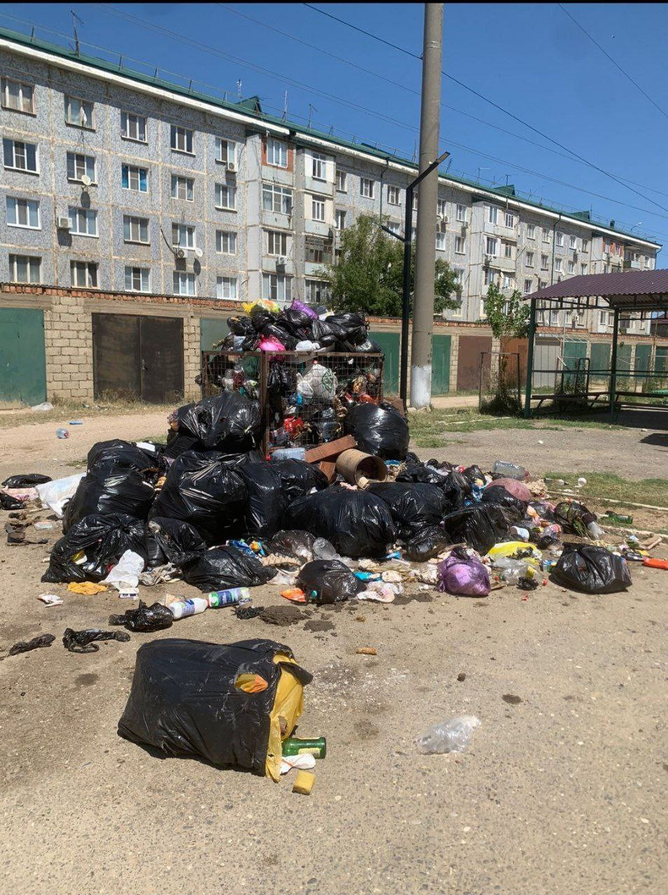 Эконадзор в действии