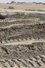 Рекультивация земель проводится в прибрежной полосе Каспийского моря