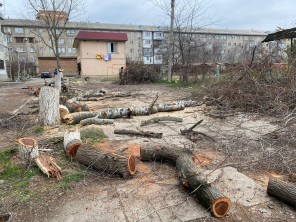 Специалистами Минприроды РД приняты меры реагирования на обращения граждан на горячую линию ведомства