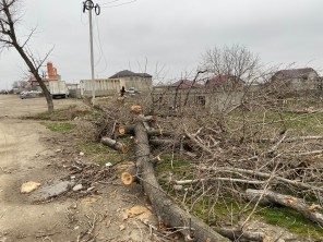 Специалистами Минприроды РД приняты меры реагирования на обращения граждан на горячую линию ведомства