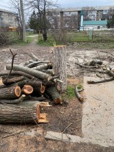 Специалистами Минприроды РД приняты меры реагирования на обращения граждан на горячую линию ведомства