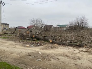 Специалистами Минприроды РД приняты меры реагирования на обращения граждан на горячую линию ведомства