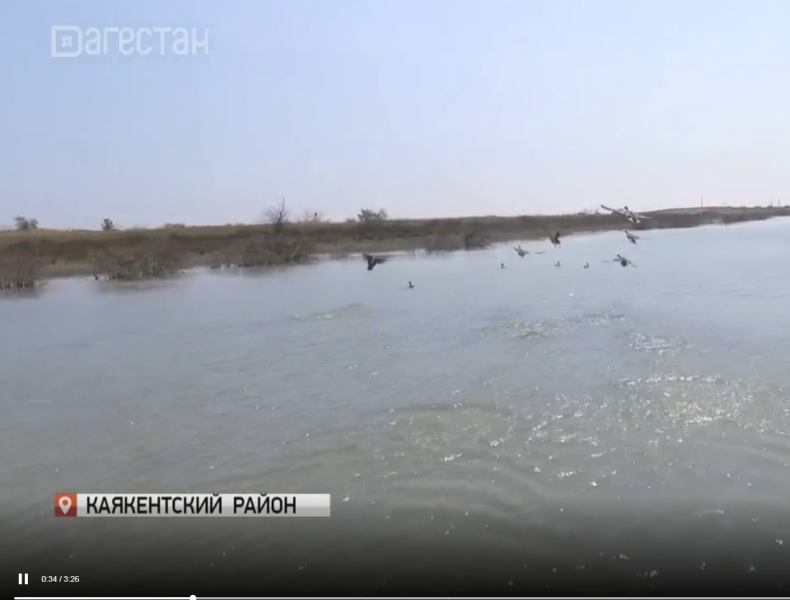Озеро Аджи станет заповедной зоной