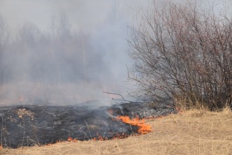 Вниманию правообладателей земельных участков!