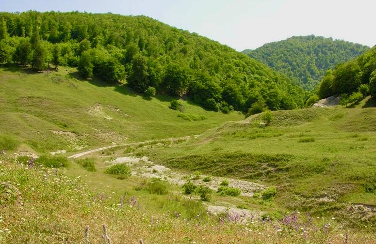 Памятник природы «Казанищенский»