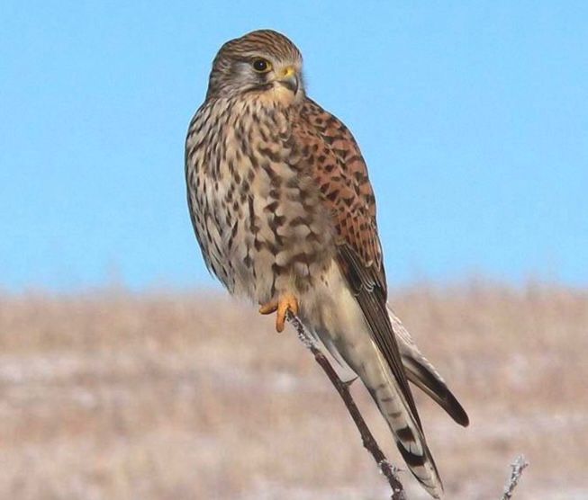 Памятник природы «Теснина Эхо»