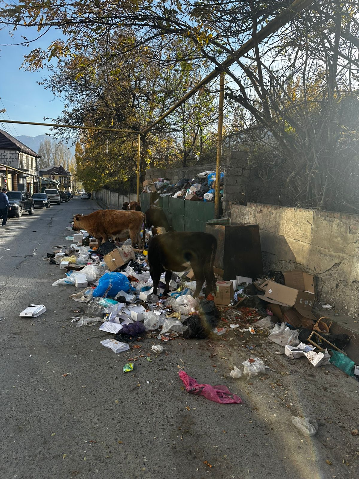 Сотрудники Госэконадзора провели выездное обследование в Ботлихском районе