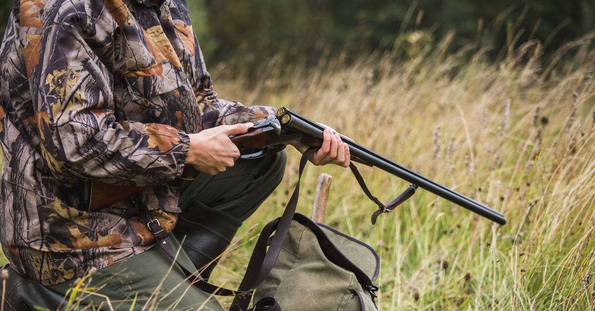 С 1 января этого года производство охоты в отношении некоторых видов дичи запрещено