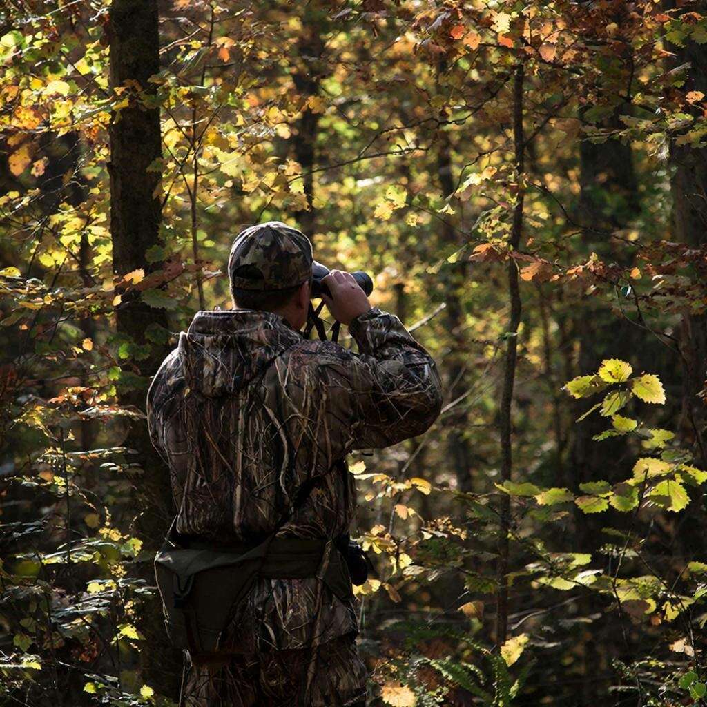 Внимание, охотники!