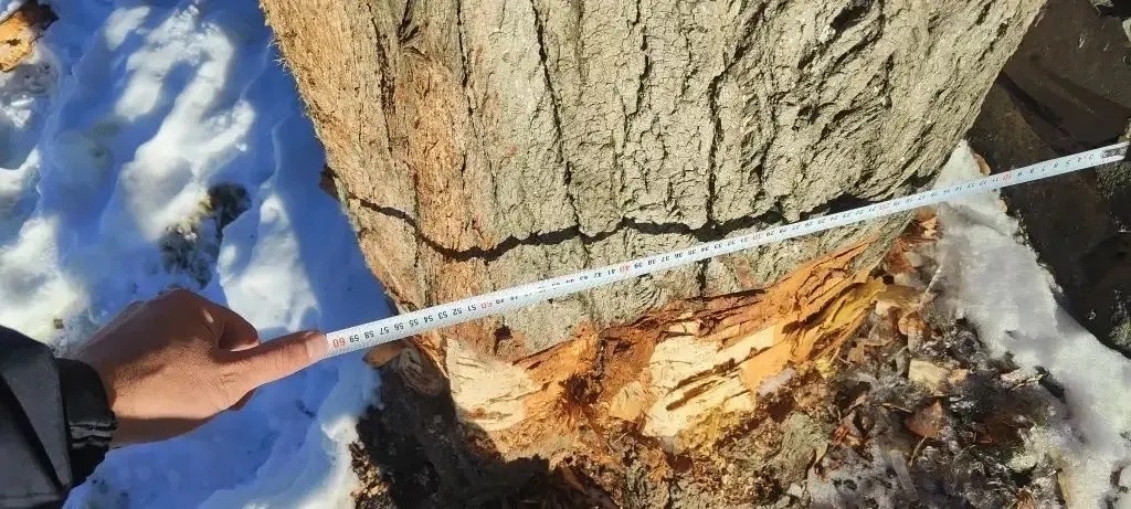 Сотрудники Минприроды РД обследовали населенные пункты Лакского района