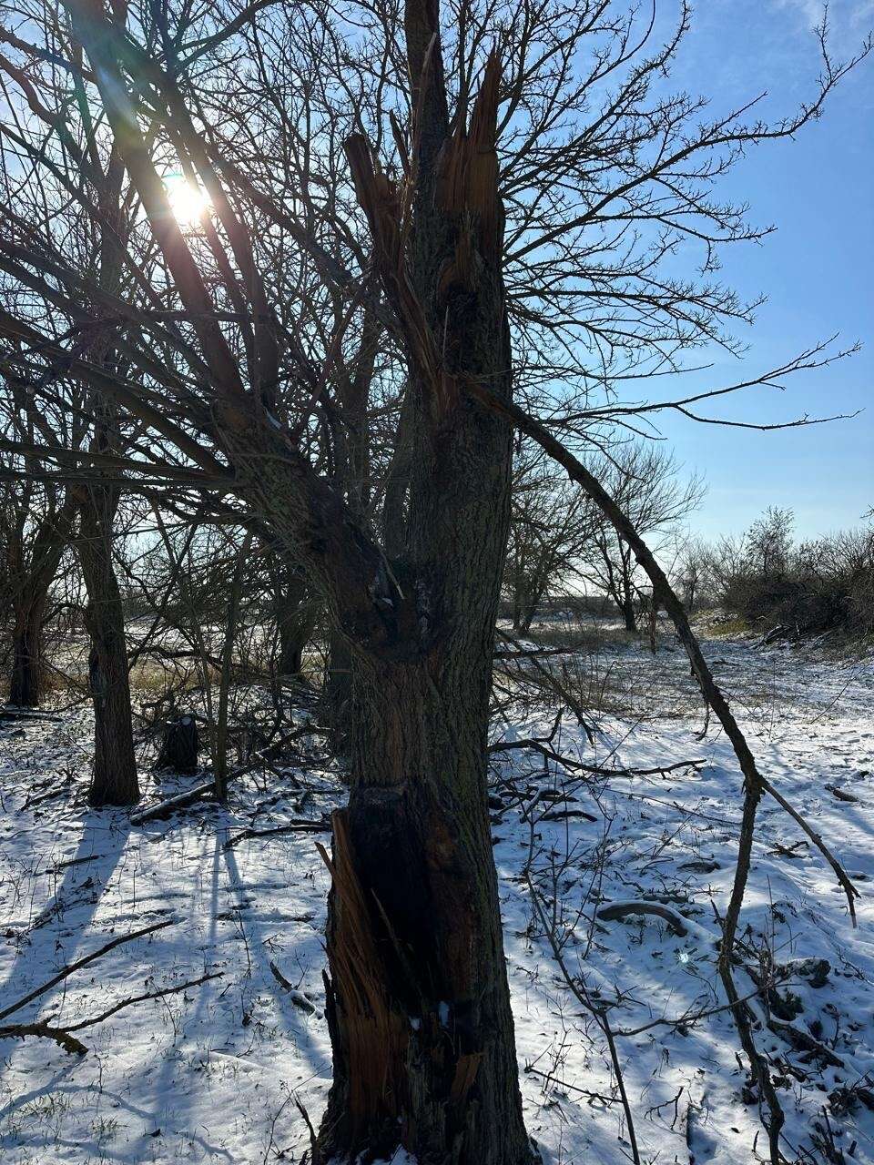 Факт нарушения природоохранного законодательства в охотничьем угодье «Мектебское»!