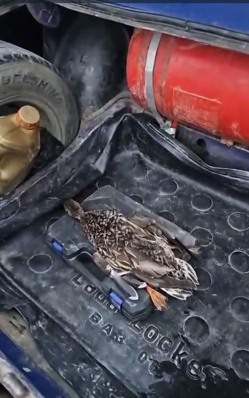 Инспекторы Минприроды провели рейдовые мероприятия в Дербентском и Бабаюртовском районах