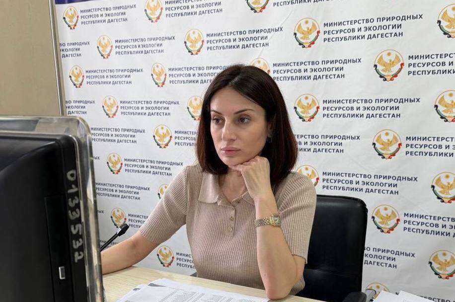 Минприроды РД приняло участие в заседании федерального штаба по проекту «Чистый воздух»