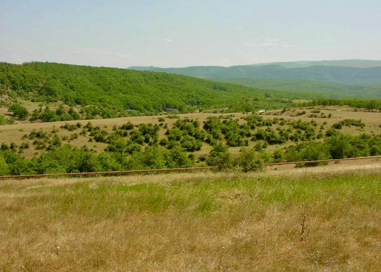 Памятник природы «Казанищенский»