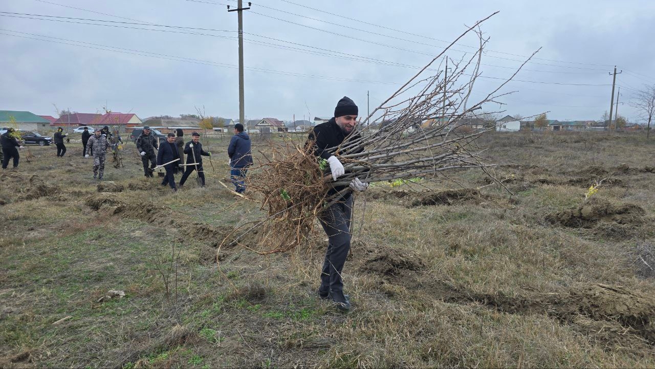 Сотрудники Минприроды РД провели масштабный субботник по озеленению территории в Ногайском районе