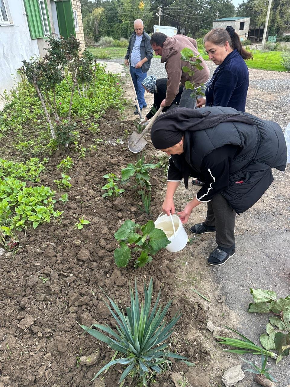 В Дагестане прошли масштабные работы по озеленению и очистке территорий