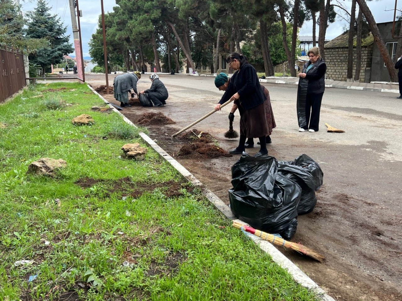 В Дагестане прошли масштабные работы по озеленению и очистке территорий