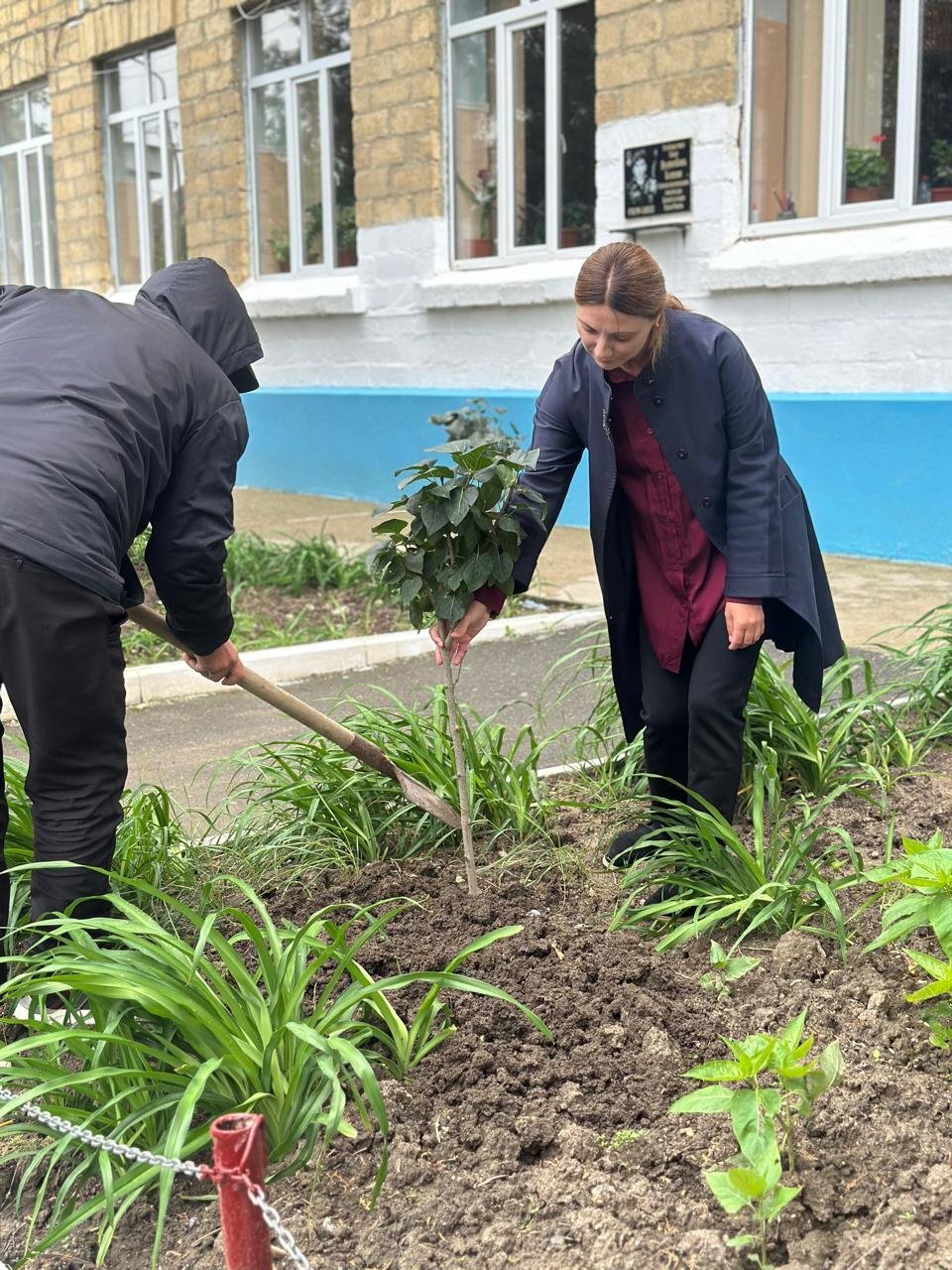 В Дагестане прошли масштабные работы по озеленению и очистке территорий