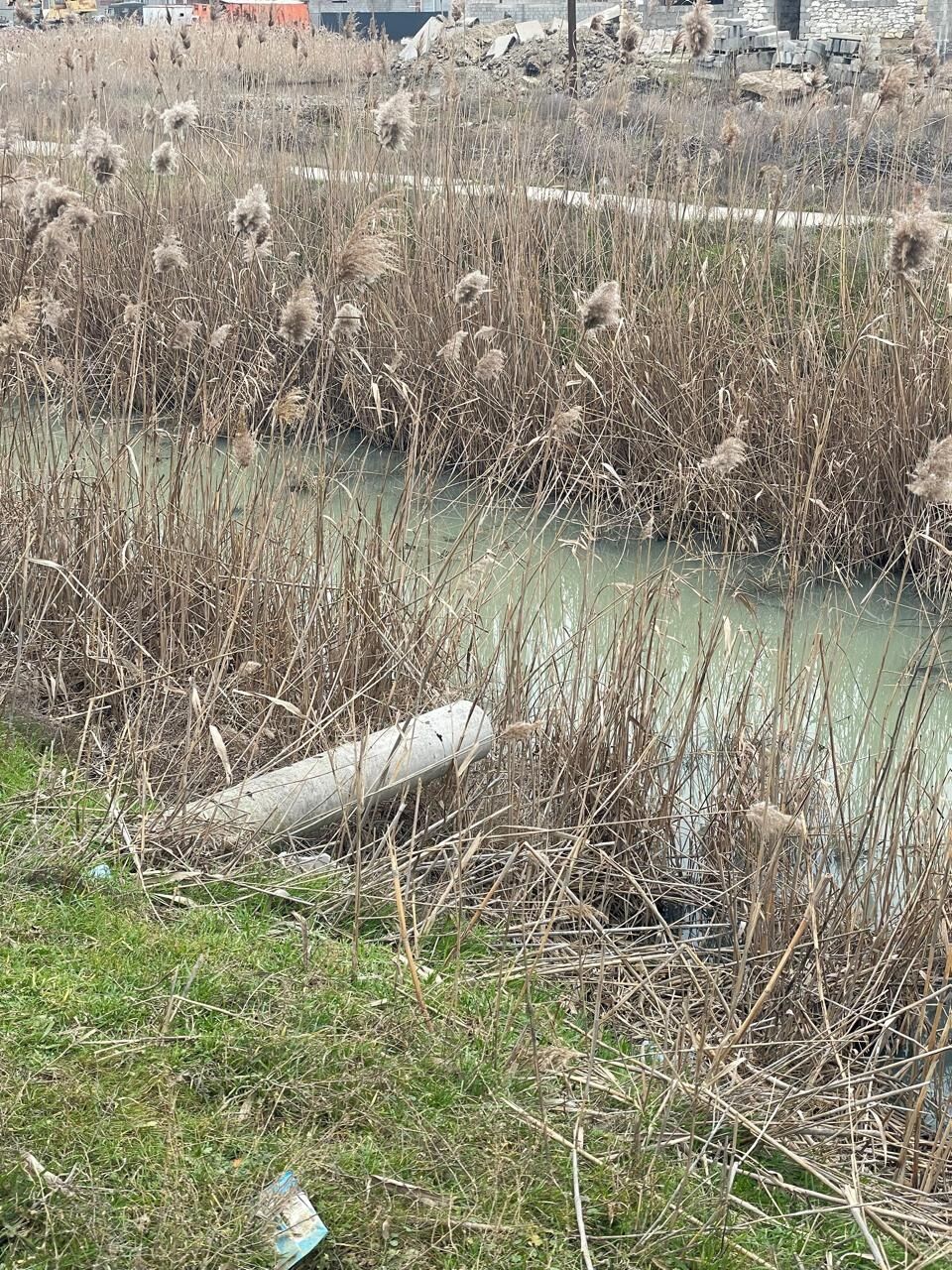 «Итоги года Минприроды РД – 2025»