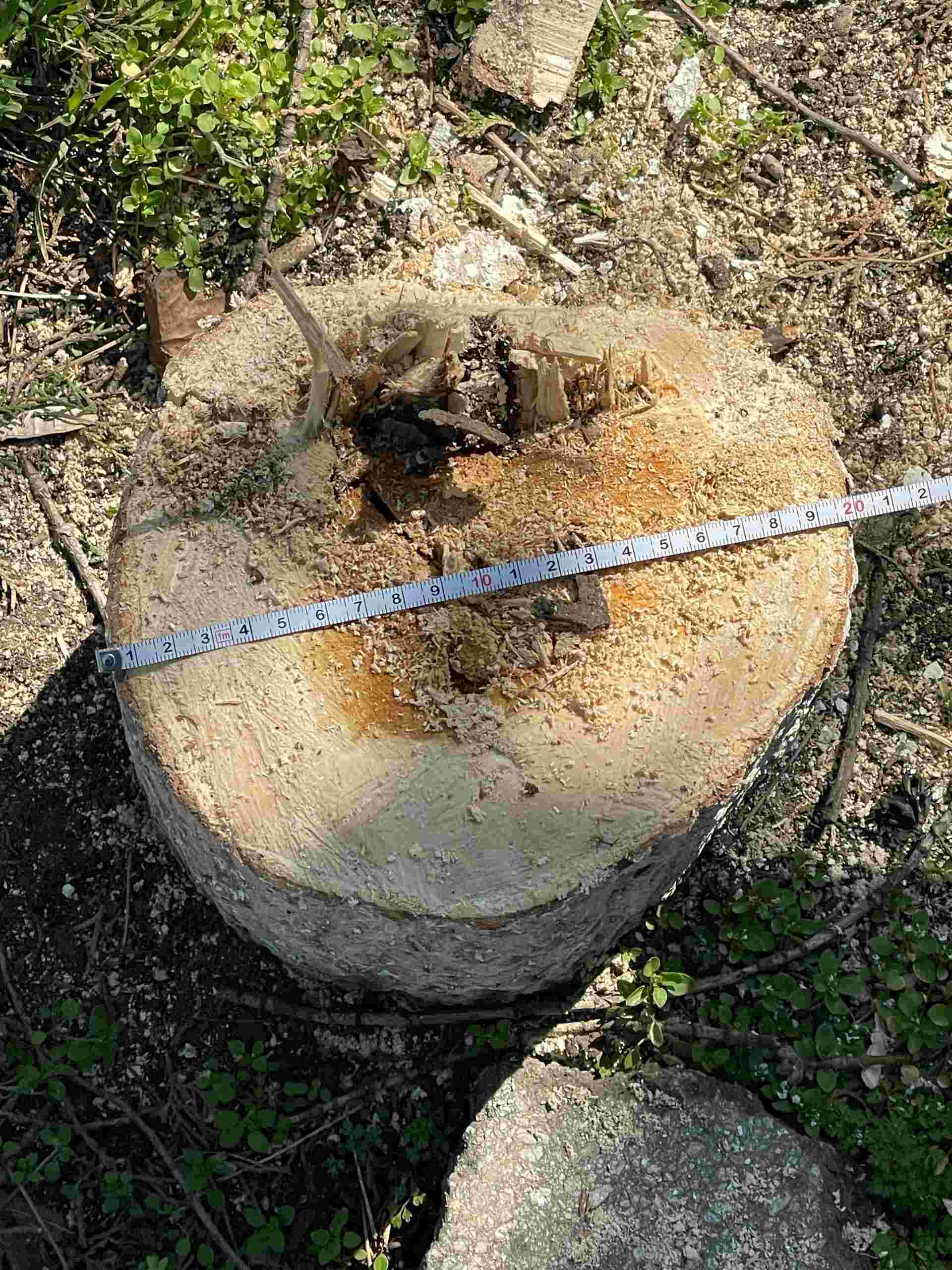 «Итоги года Минприроды РД – 2025»