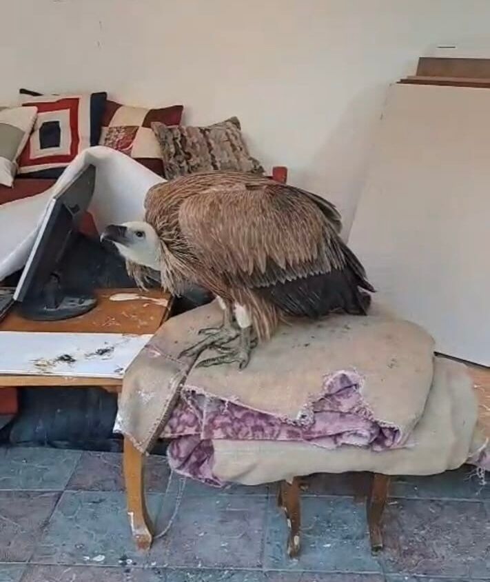 «Итоги года Минприроды РД – 2025»