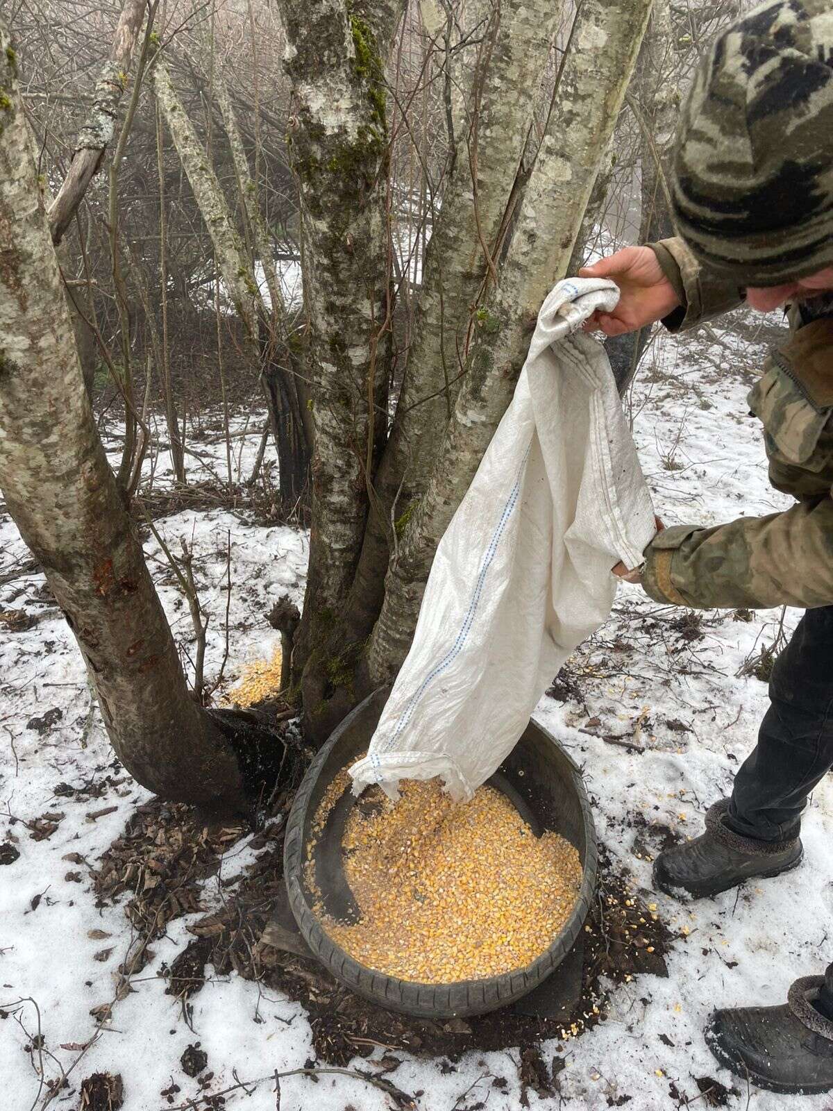Минприроды РД провело рейдовые мероприятия во время новогодних праздников