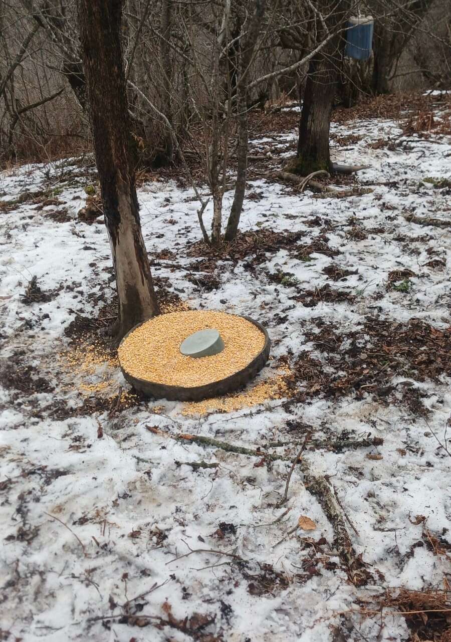 Минприроды РД провело рейдовые мероприятия во время новогодних праздников