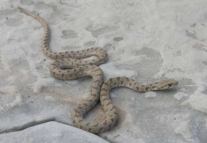 Памятник природы «Долина Рычал-Су»