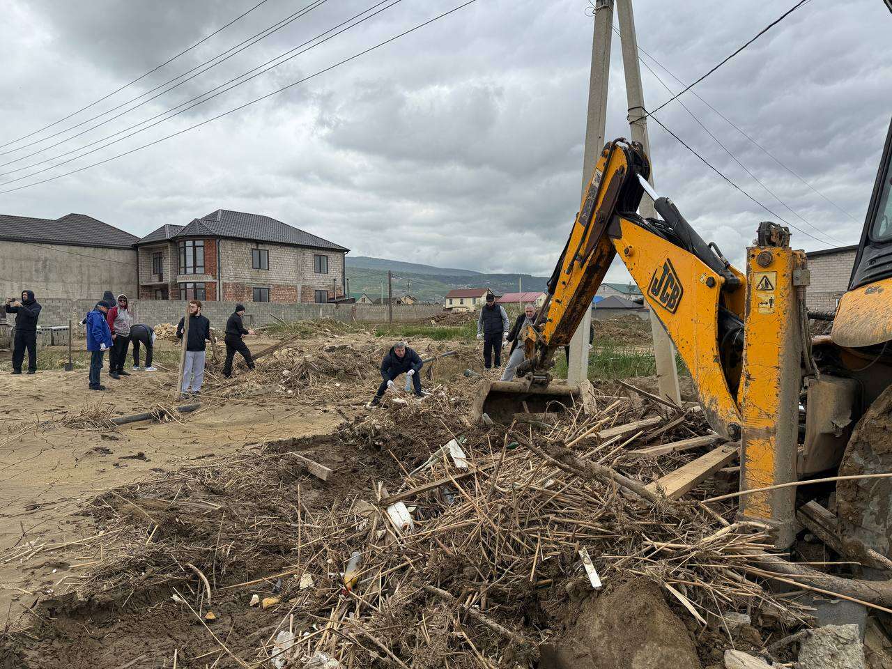 Сотрудники Минприроды РД приняли участие в Общероссийском субботнике