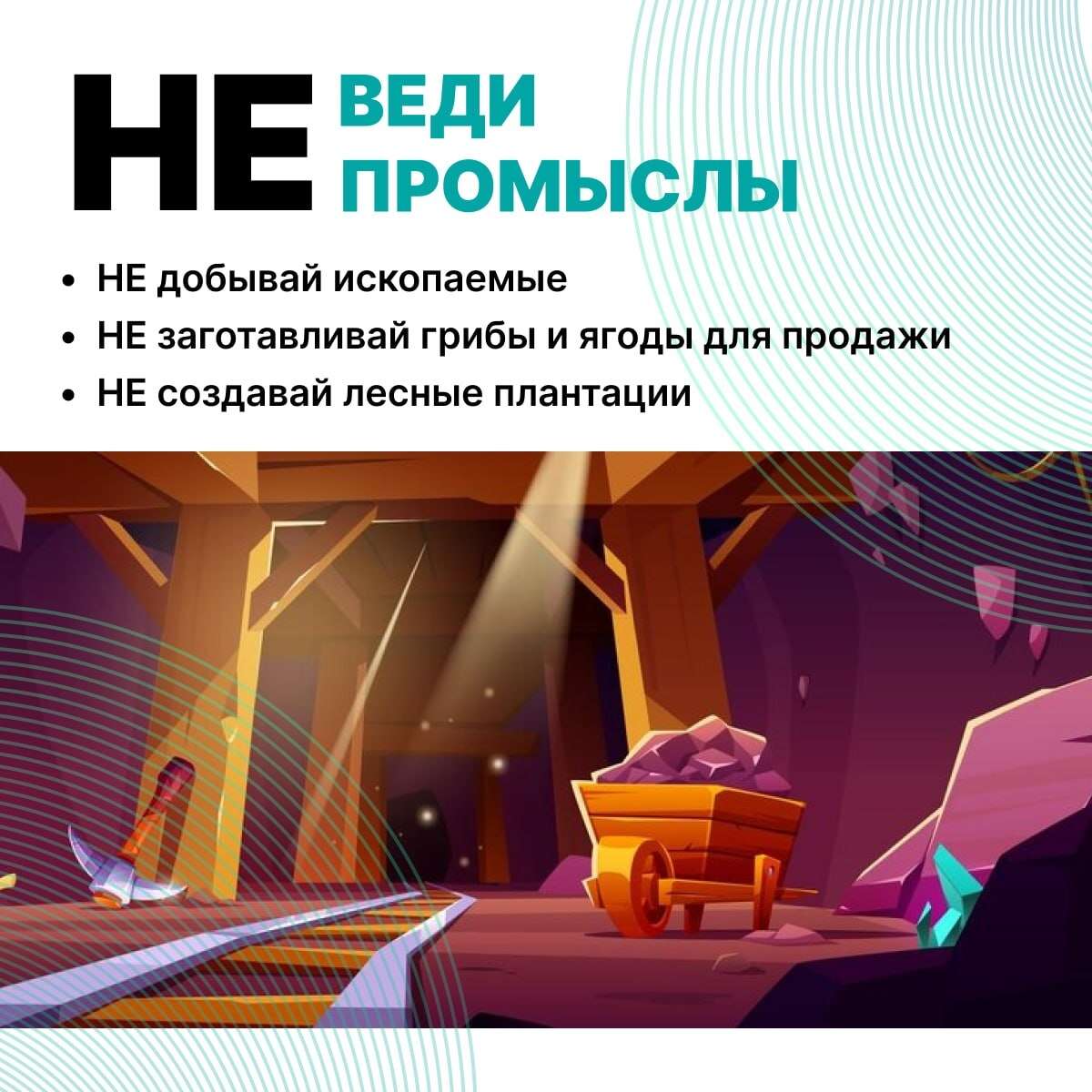 Сохраняем природу Дагестана: что запрещено на ООПТ?