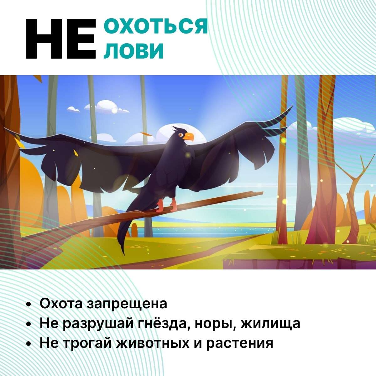 Сохраняем природу Дагестана: что запрещено на ООПТ?