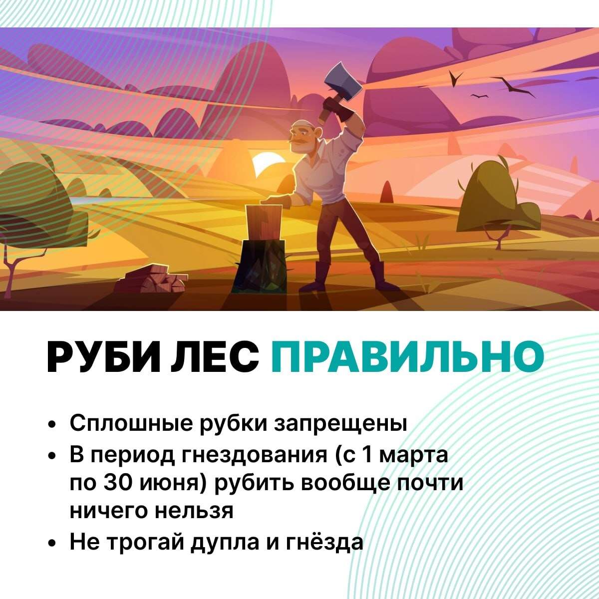 Сохраняем природу Дагестана: что запрещено на ООПТ?
