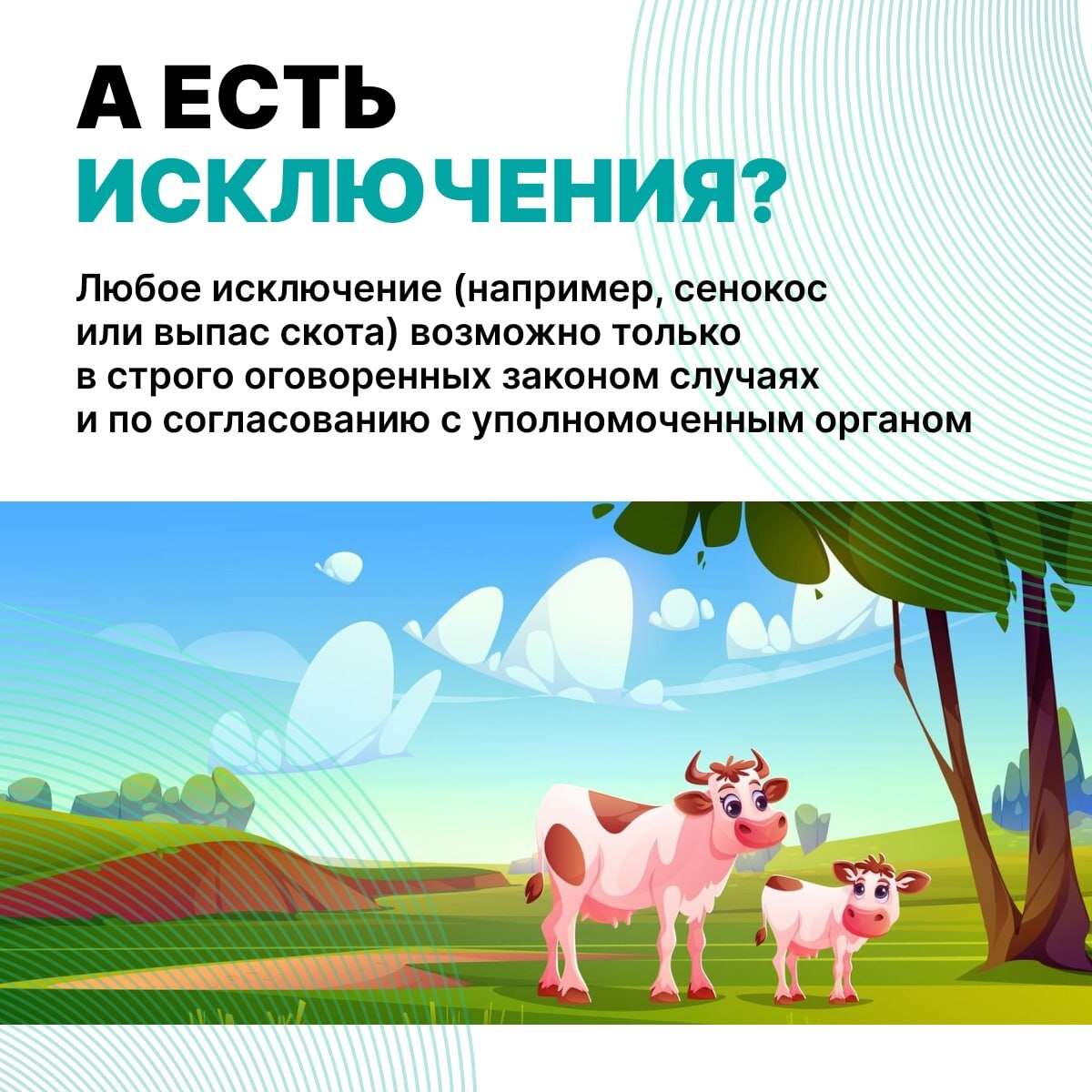 Сохраняем природу Дагестана: что запрещено на ООПТ?