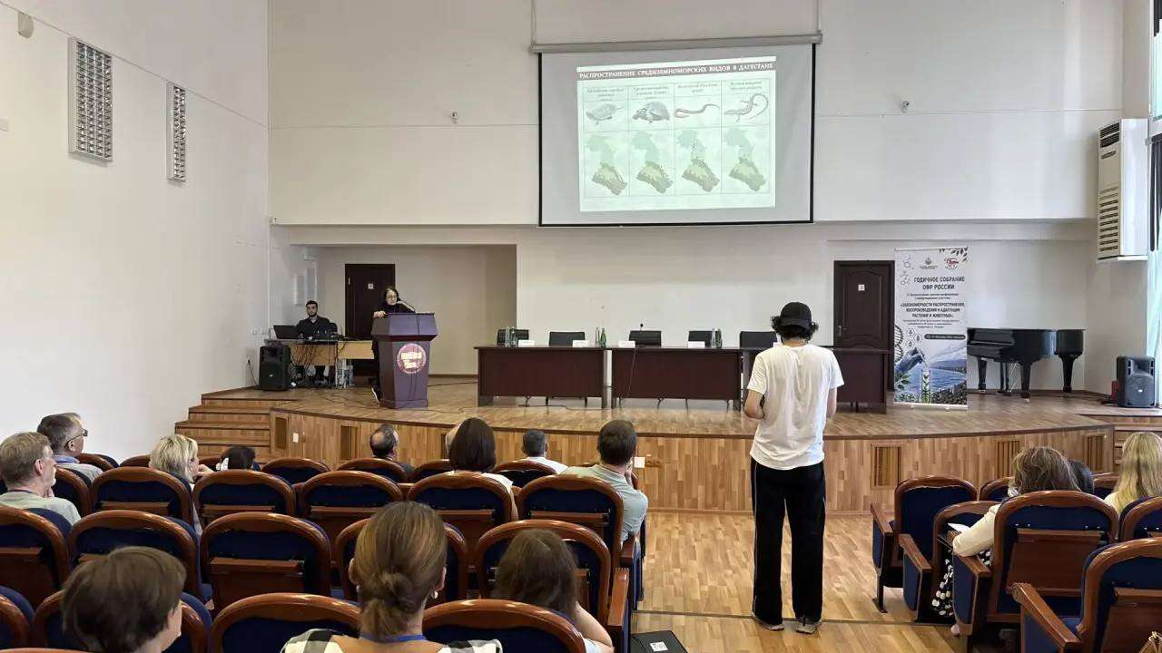 Редкие пресмыкающиеся Дагестана: на конференции в ДГУ обсудили сохранение краснокнижных видов